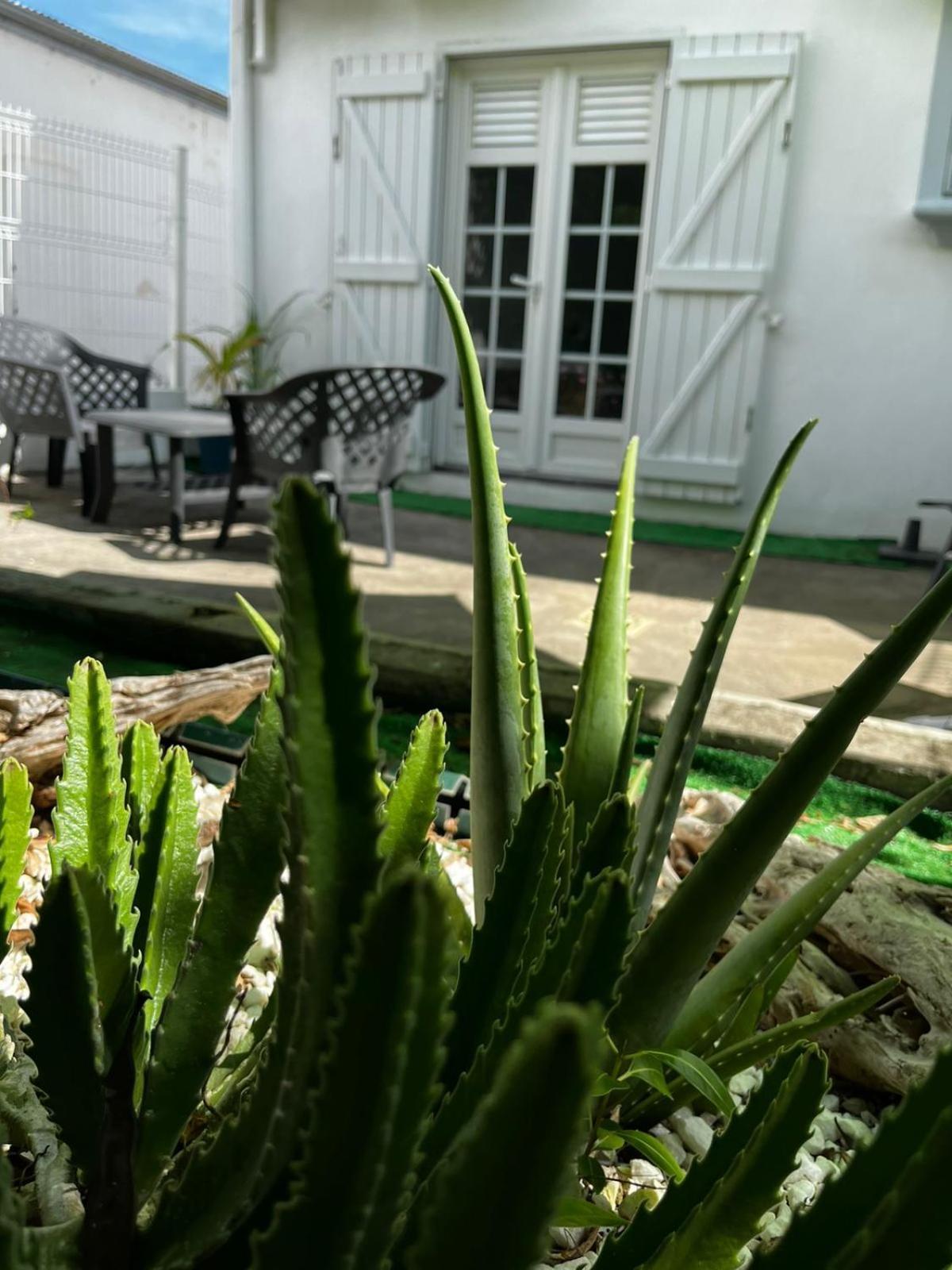 Jasmin - Appartement Face Plage Diamant Le Diamant Exterior foto